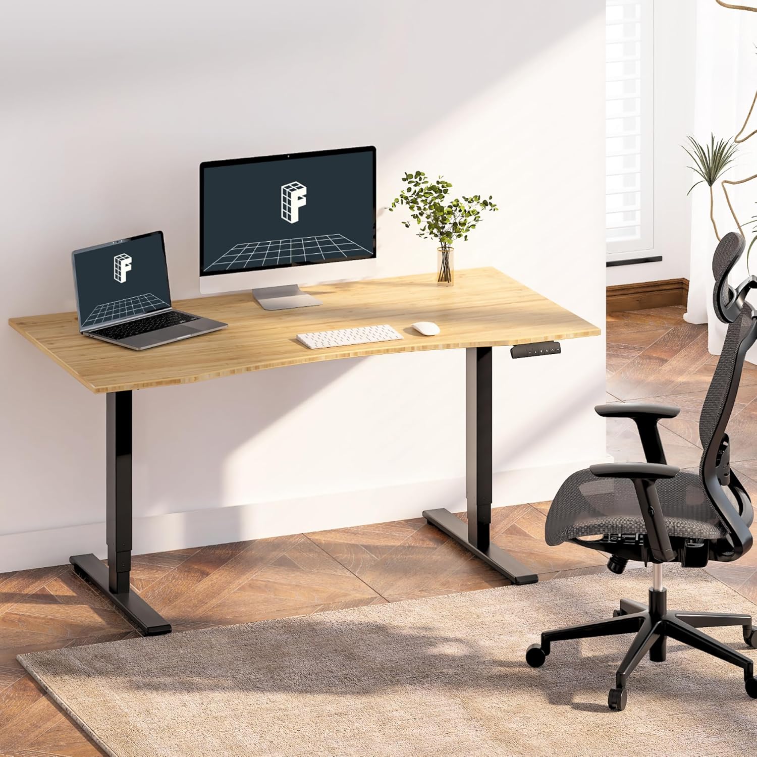 FlexiSpot E6 55x28 FSC Bamboo Dual Motor Standing Desk